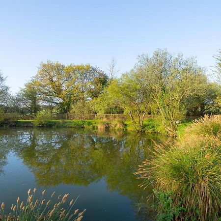Our Goldfinch 1- Sleeps 2 Persons- Private Hot Tub-Pet Friendly-Tranquil Holiday Away From It All Yet Not Far From St Austell- The Holiday Home Has One Bedroom, Living And Dining Area, Equipped Kitchen-Decking-Outdoor Furniture-Fishing Lakes And More Grampound Eksteriør billede