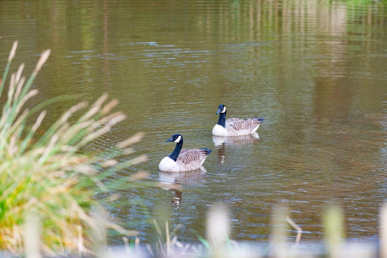 Our Goldfinch 1- Sleeps 2 Persons- Private Hot Tub-Pet Friendly-Tranquil Holiday Away From It All Yet Not Far From St Austell- The Holiday Home Has One Bedroom, Living And Dining Area, Equipped Kitchen-Decking-Outdoor Furniture-Fishing Lakes And More Grampound Eksteriør billede